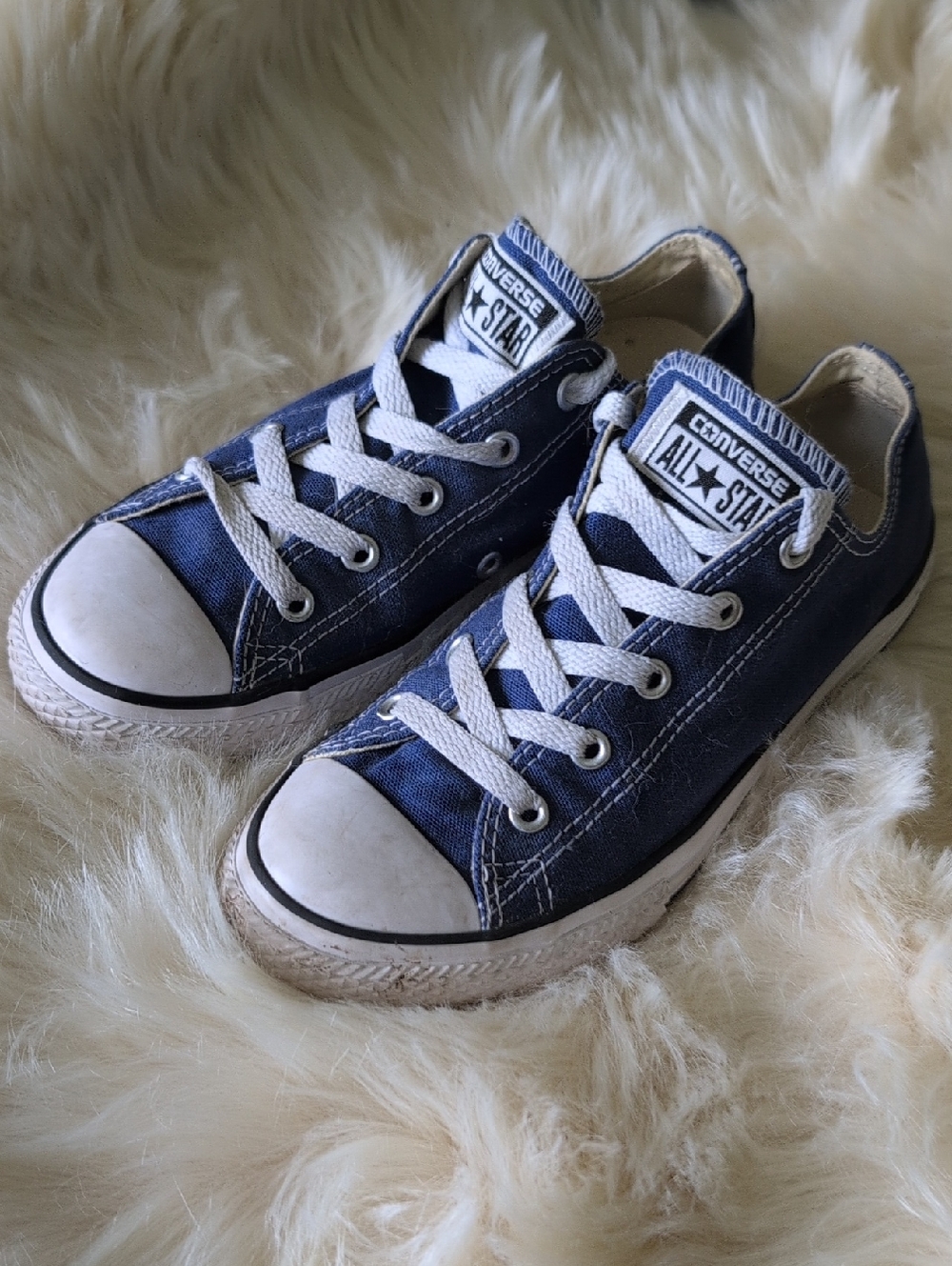 Converse Navy Blue Low Top Sneakers
